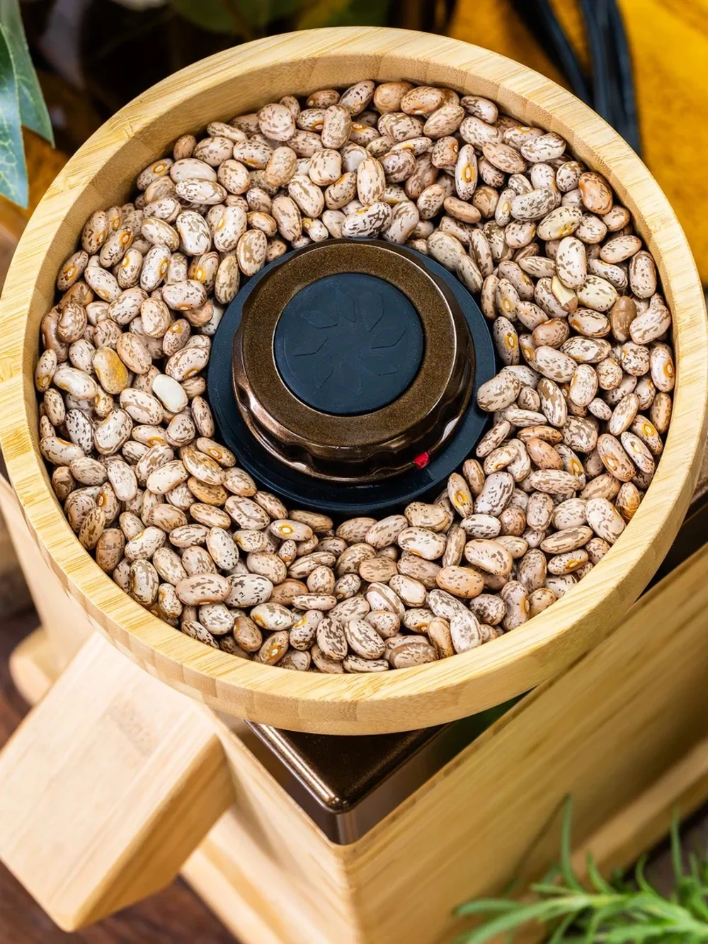 Bamboo Electric Grain Mill - Natural Bamboo - Harvest Grain Mill